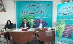 نخستین جشنواره ملی انگور شاهرود با هدف معرفی ارقام جدید برگزار می‌شود