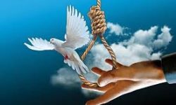 ۲ محکوم به قصاص نفس در شهرستان شاهرود بخشیده شدند
