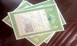  صدور سند سبز در کشور به ۵.۵ میلیون فقره رسید