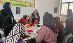 کارگاه آموزشی هنر گلدوزی در روستای قلعه‌بالا برگزار شد