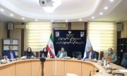 آغاز فرآیند تشکیل تشکل حرفه‌ای صنایع‌دستی استان سمنان