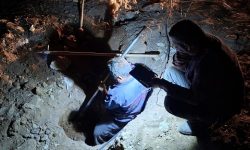 رصد و پایش مستمر شبکه مخابرات استان سمنان، عامل پایداری ارتباطات و کاهش اختلالات