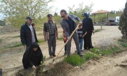 در پویش «سرو ایران»  ۱۲ هزار اصله نهال در استان‌ سمنان توزیع و کاشته شد
