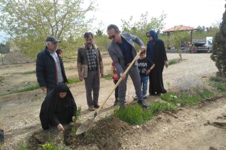 در پویش «سرو ایران»  ۱۲ هزار اصله نهال در استان‌ سمنان توزیع و کاشته شد