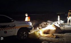 برخورد ۲ خودرو با شتر در استان سمنان، باعث فوت یک نفر و چهار مصدوم شد