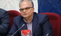  دومالخر مرتبط با سرقت‌های اخیر در شهرستان شناسایی و دستگیر شدند