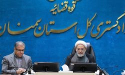 تشکیل ۳ کارگروه در استان سمنان برای پیشگیری و مقابله با سقط غیرقانونی جنین