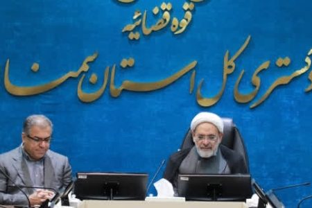 تشکیل ۳ کارگروه در استان سمنان برای پیشگیری و مقابله با سقط غیرقانونی جنین
